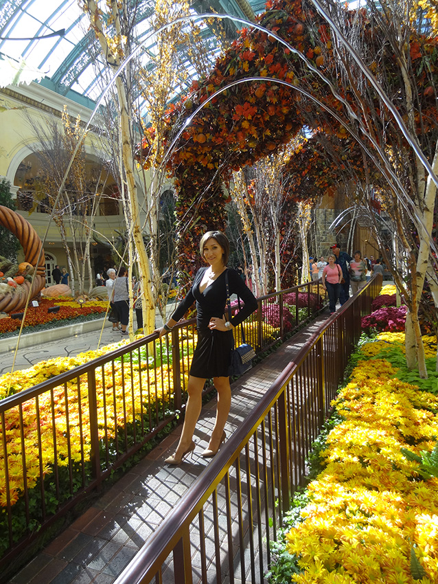 Kseniya Kira in Bellagio Harvest Show, Conservatory & Botanical Gardens, Las Vegas 2014