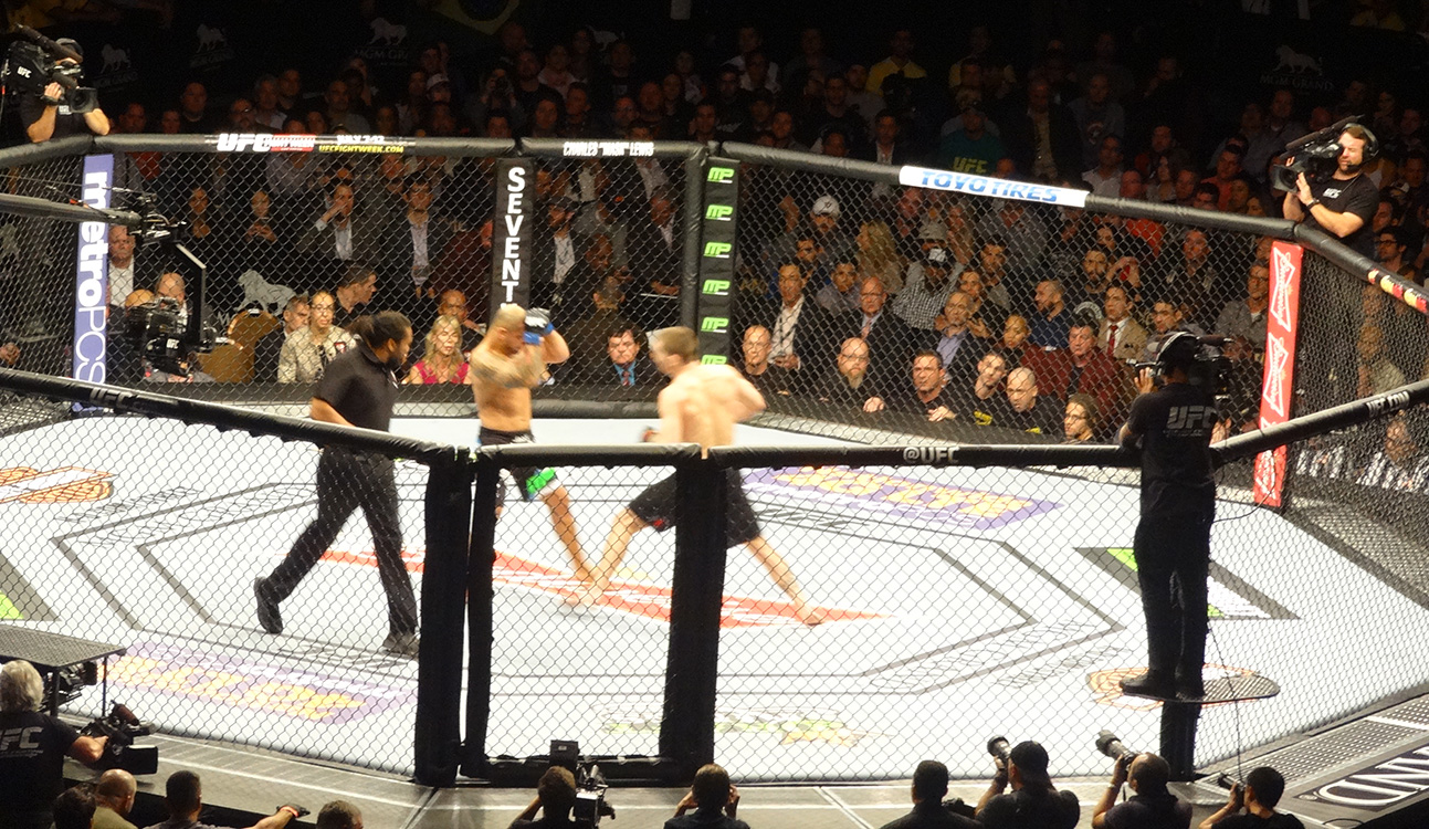 MGM-Grand-Garden-Arena,-UFC-Fight,-Las-Vegas