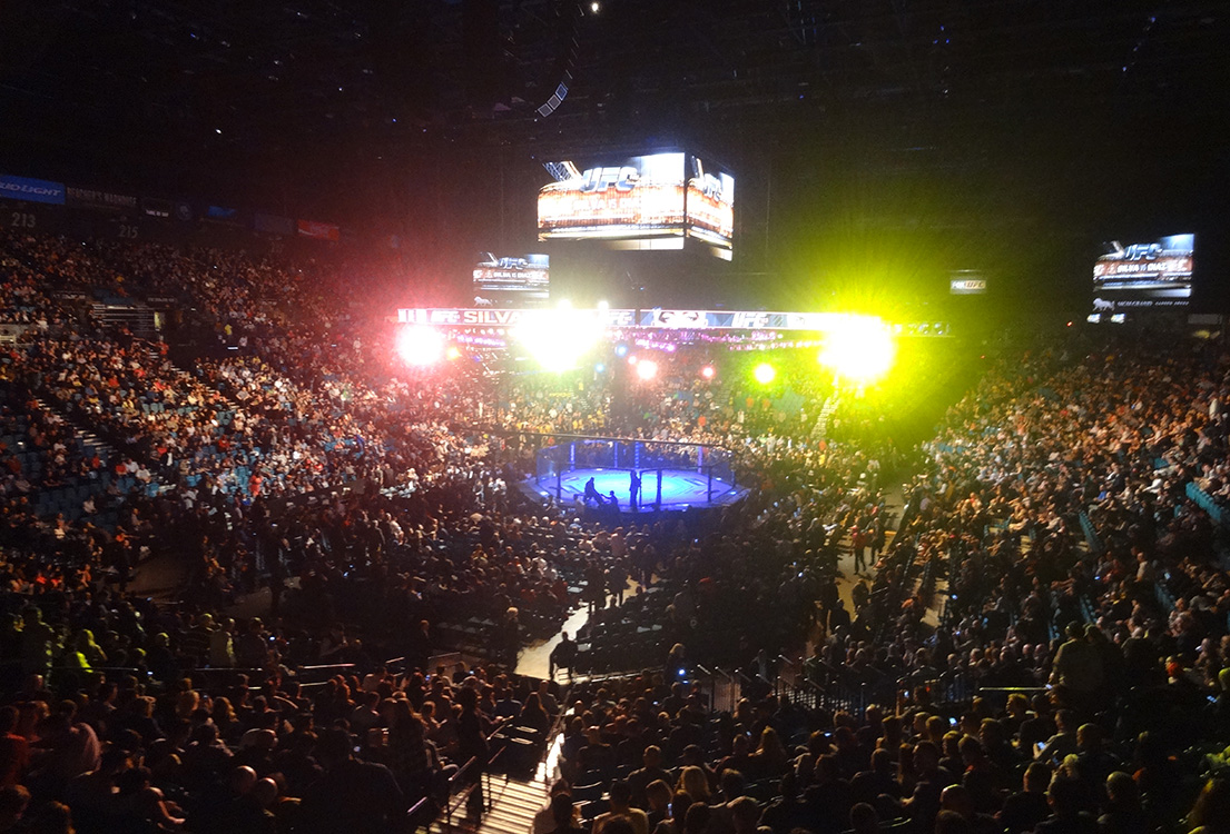 Mgm Grand Garden Arena Ufc Silva Diaz Las Vegas Top Picks