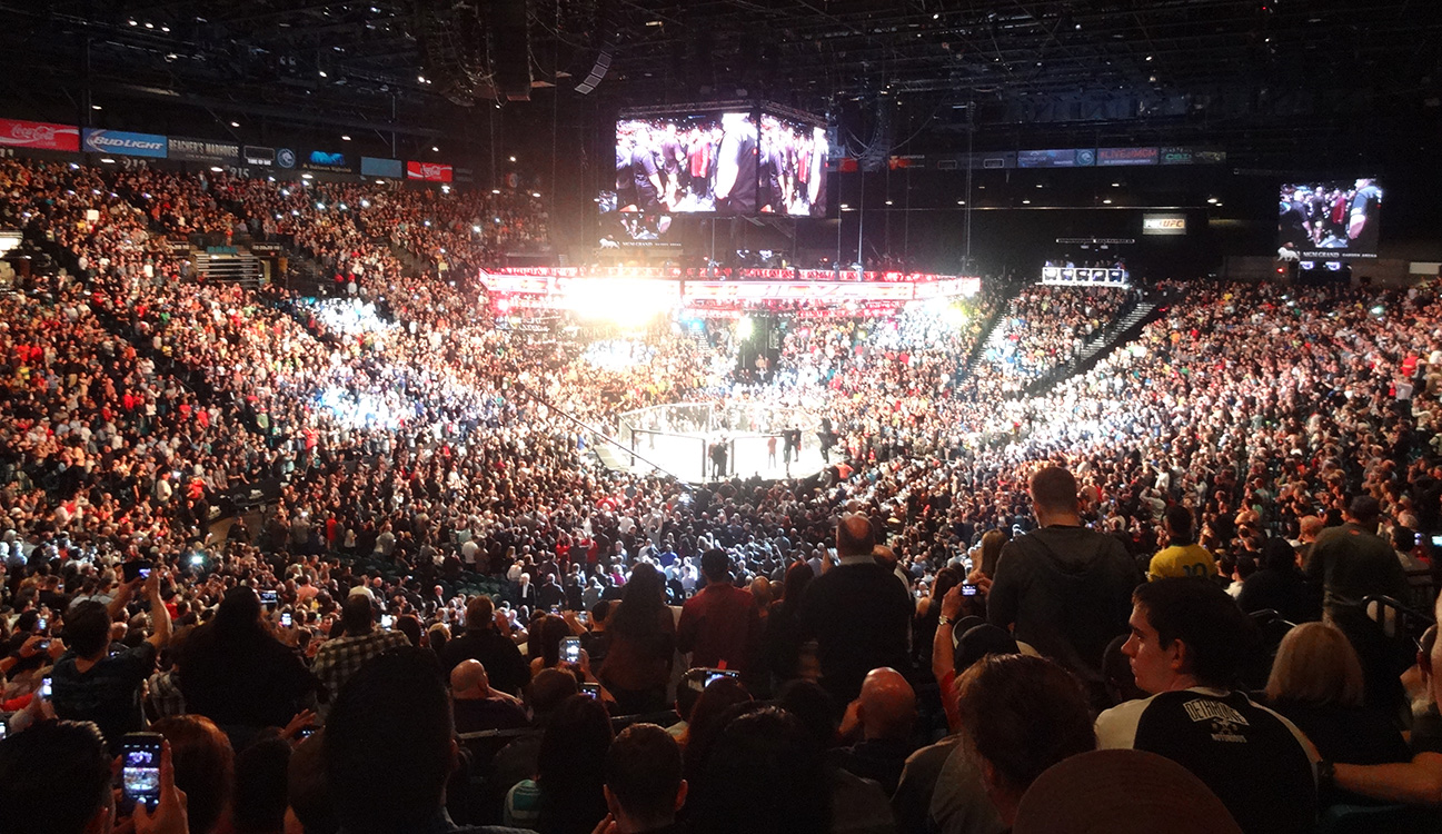 MGM Grand Garden Arena, UFC Silva Diaz Las Vegas Top Picks