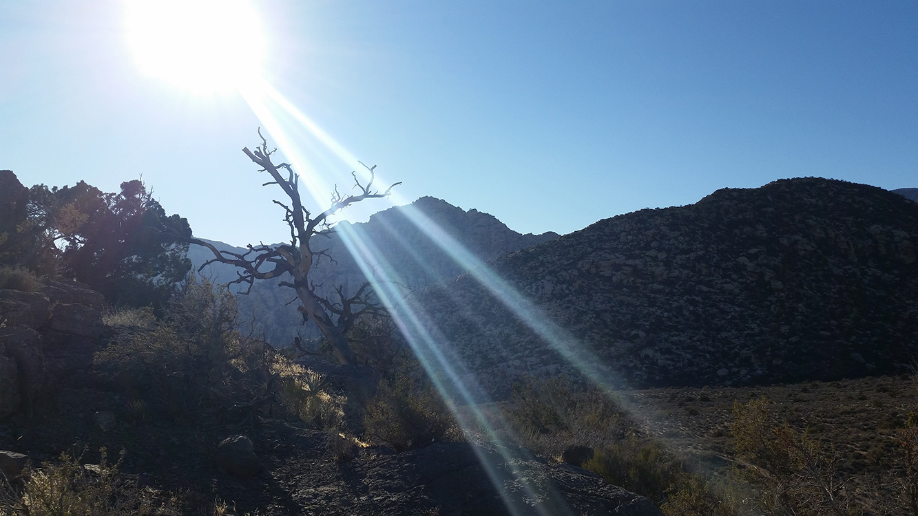 Sunshine-on-Keystone-Thrust-Trail,-Red-Rock-Canyon,-Las-Vegas