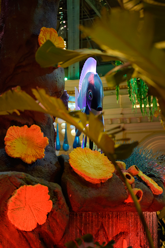Tropical-Fish,-Summer-Celebration-Floral-Exhibit,-Bellagio-Las-Vegas