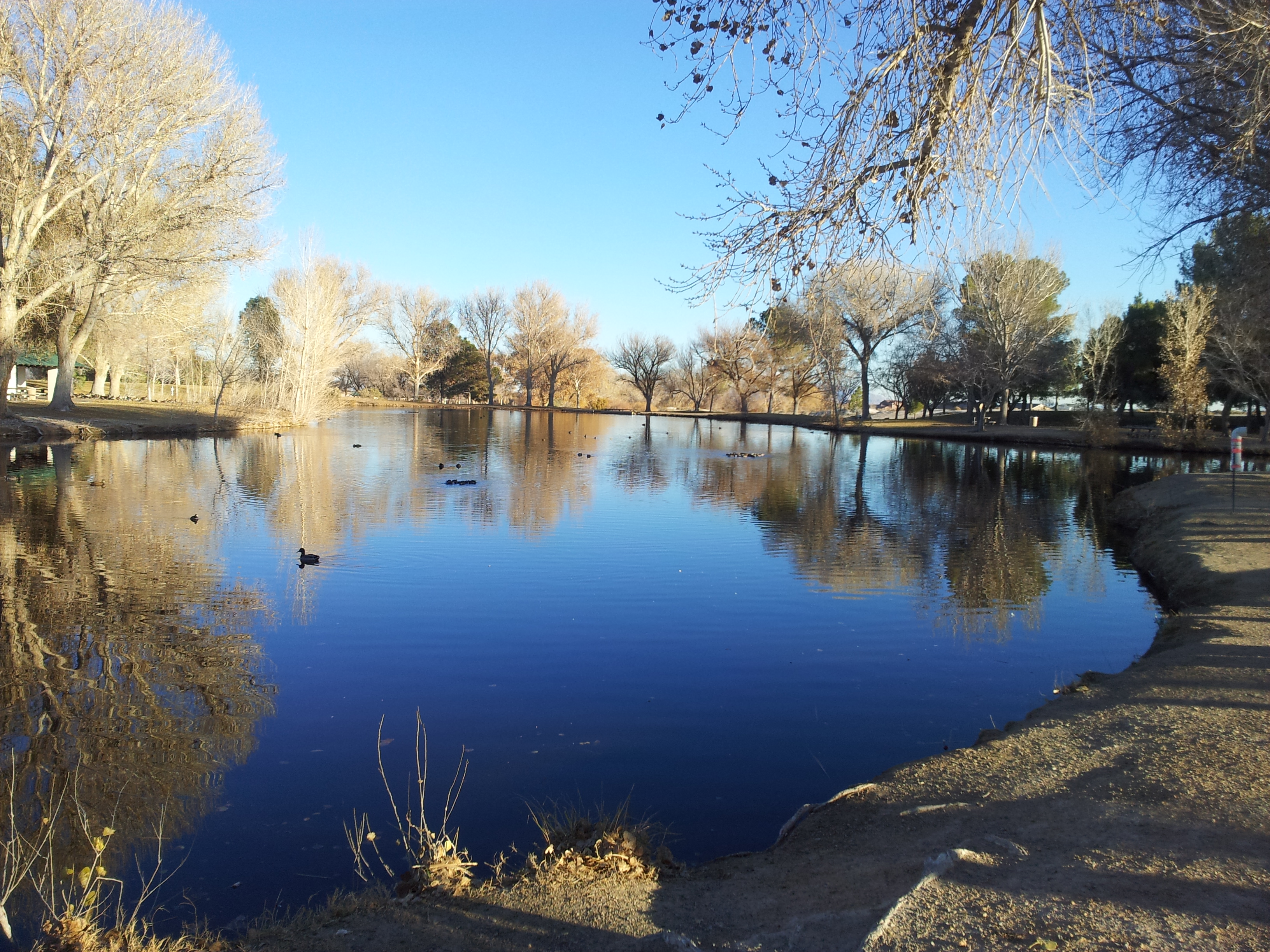 Floyd Lamb Park Las Vegas Top Picks