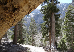 View from Mary Jane Falls Trail Cave, Mount Charleston Area