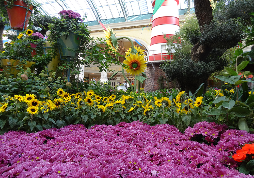 Purple Flower Spread, Bellagio Conservatory and Botanical Gardens, Summer Garden Party 2013