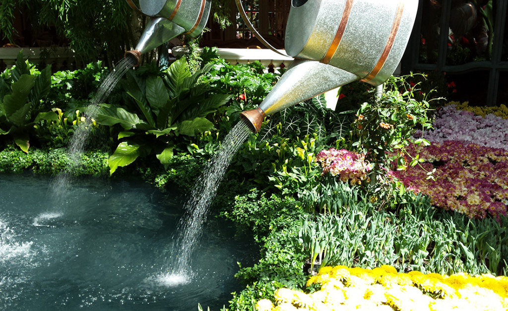 Watering Cans, Bellagio Conservatory