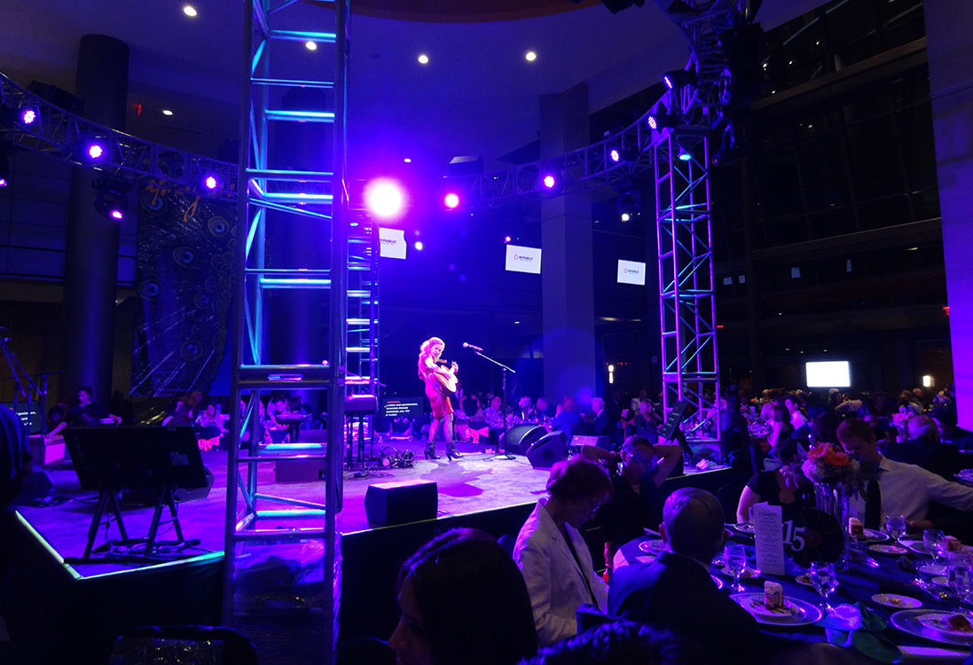 Performance at 4th Annual Imagine Gala, Blind Center or Nevada, Downtown Las Vegas