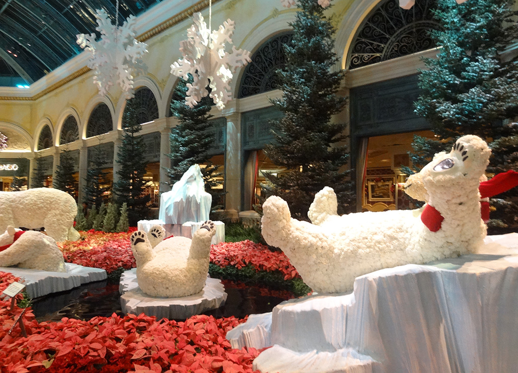 Polar-Bears-Playing,-Bellagio-Conservatory-Christmas-Celebration,-2014-Las-Vegas