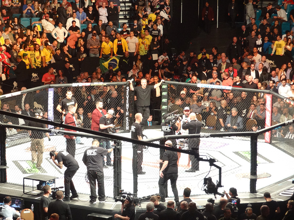 Post-Fight-Interviews,-UFC-at-MGM-Grand-Garden-Arena,-Las-Vegas