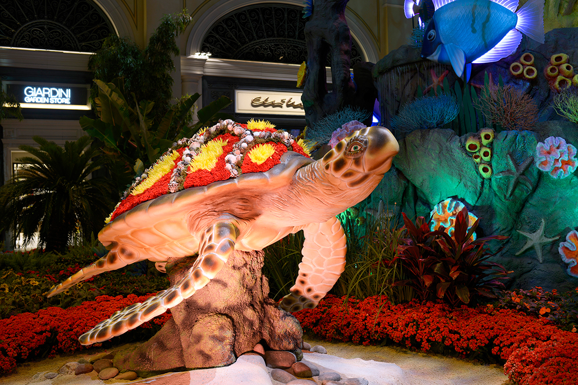 Turtle,-Floral-Exhibition,-Bellagio-Las-Vegas