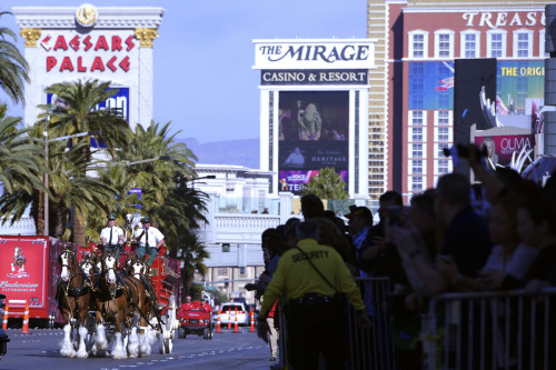 Fans Line the Las Vegas Strip to see Budweiser Clydesdales 