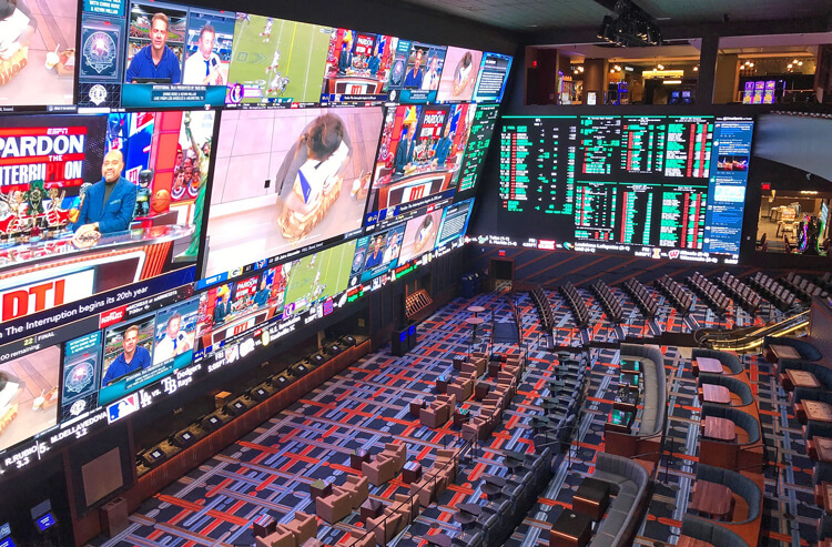 Super Bowl betting: Las Vegas sportsbooks clean up on bettors